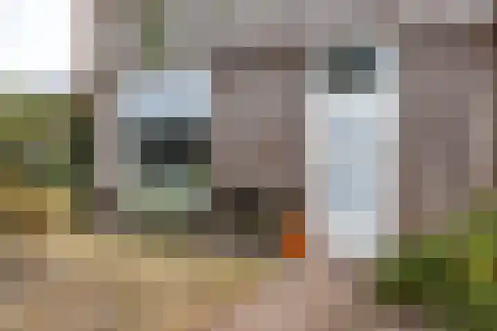 Hoornkampen 13 Rolde thumbnail 12