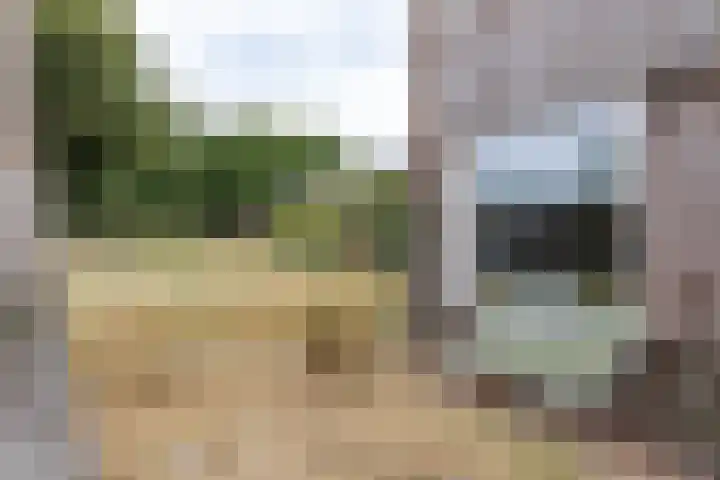Hoornkampen 13 Rolde thumbnail 13