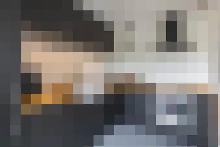 Hoornkampen 13 Rolde thumbnail 23