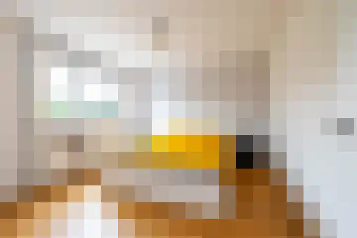 Hoornkampen 13 Rolde thumbnail 30
