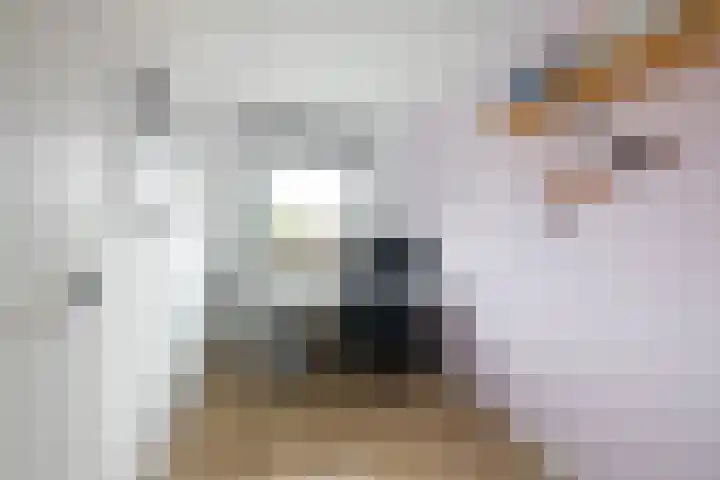 Hoornkampen 13 Rolde thumbnail 34