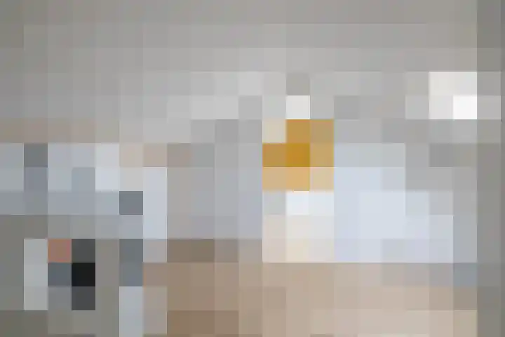 Hoornkampen 13 Rolde thumbnail 39