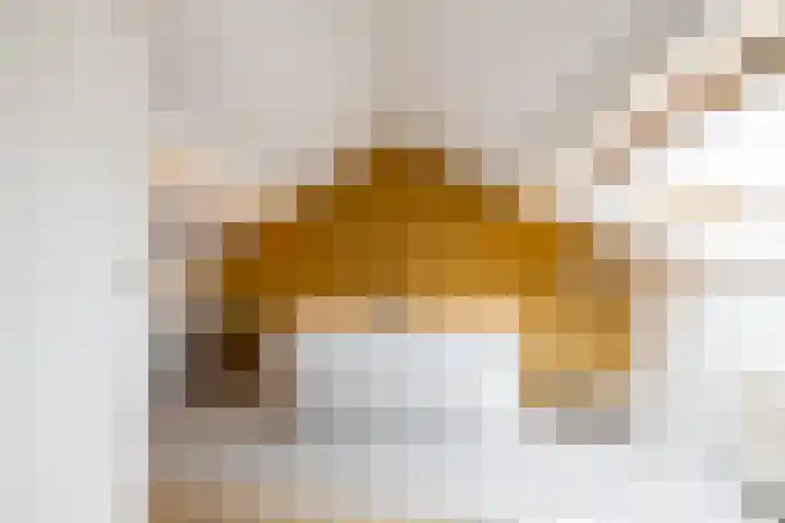 Hoornkampen 13 Rolde thumbnail 42
