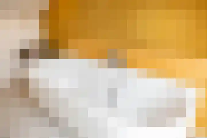 Hoornkampen 13 Rolde thumbnail 44