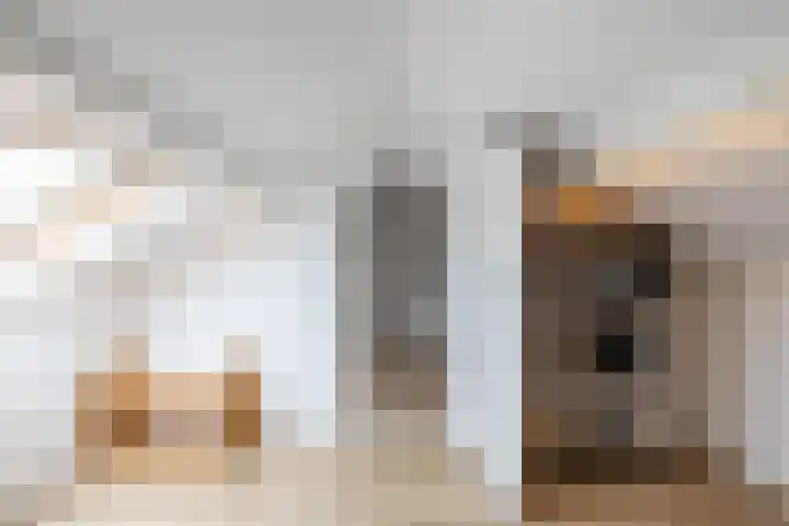 Hoornkampen 13 Rolde thumbnail 45