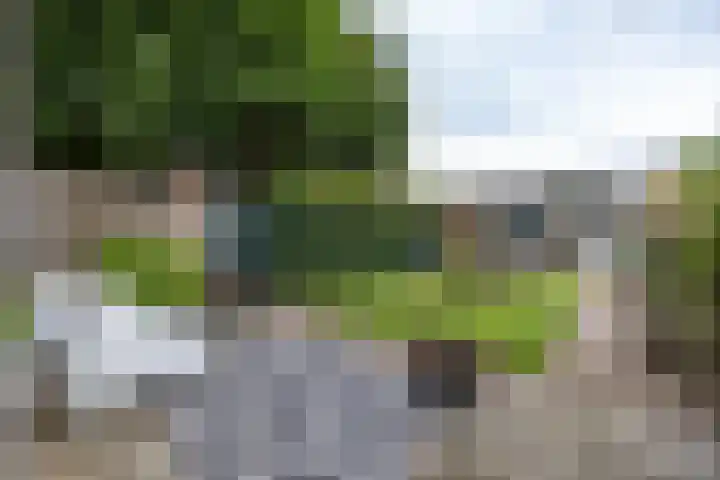 Hoornkampen 13 Rolde thumbnail 46