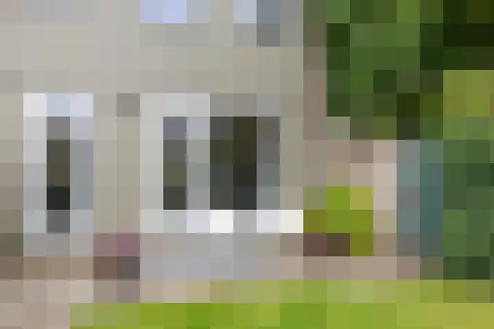 Hoornkampen 13 Rolde thumbnail 47