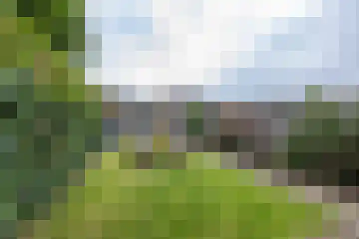 Hoornkampen 13 Rolde thumbnail 48