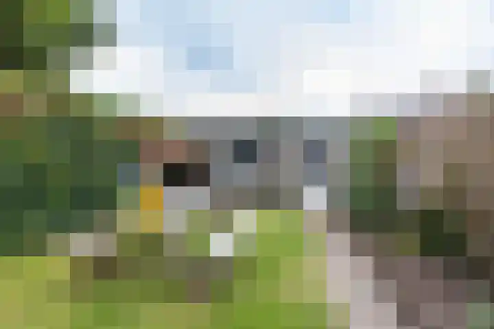 Hoornkampen 13 Rolde thumbnail 49