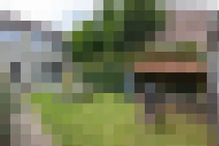 Hoornkampen 13 Rolde thumbnail 57