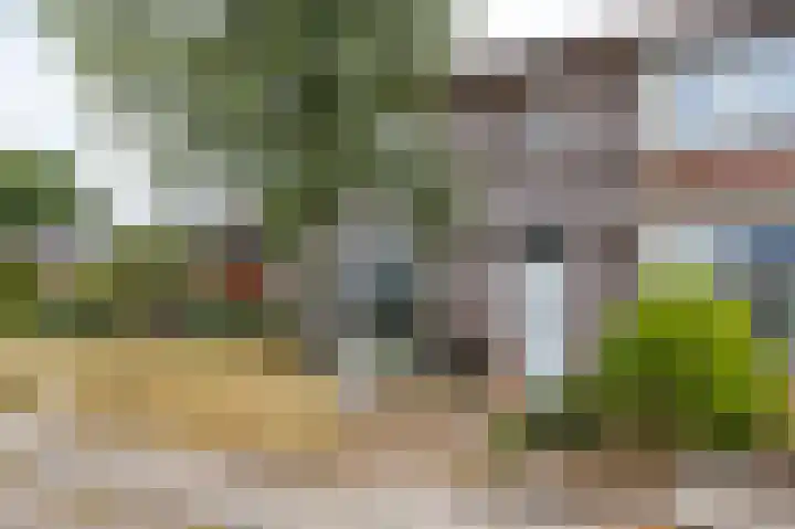 Hoornkampen 13 Rolde thumbnail 8