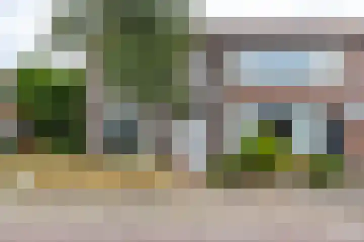 Hoornkampen 13 Rolde thumbnail 9