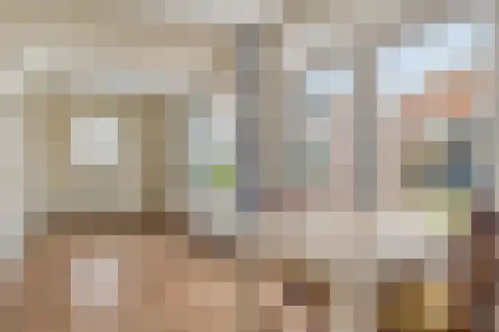 Hoornkampen 16 Rolde thumbnail 13