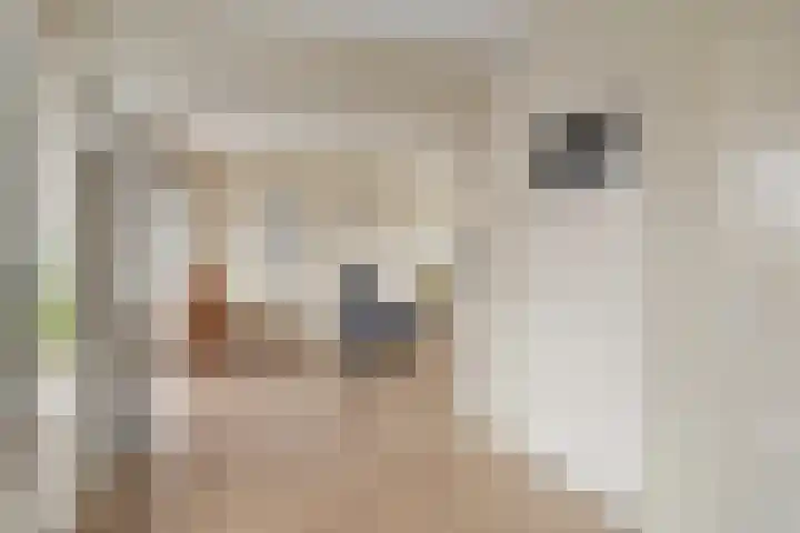 Hoornkampen 16 Rolde thumbnail 14