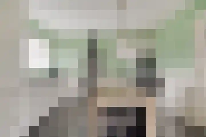 Hoornkampen 16 Rolde thumbnail 16