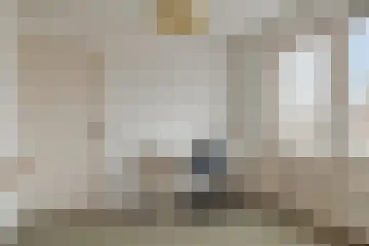 Hoornkampen 16 Rolde thumbnail 27
