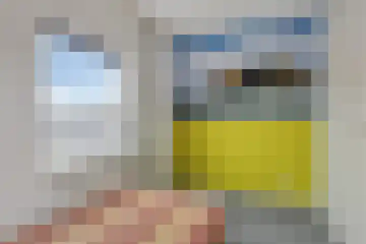 Hoornkampen 16 Rolde thumbnail 29