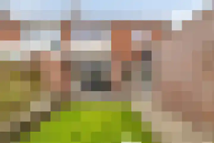 Hoornkampen 16 Rolde thumbnail 31
