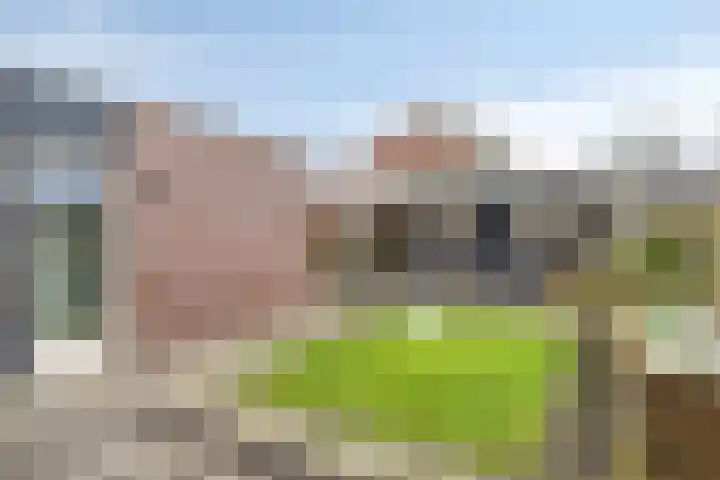 Hoornkampen 16 Rolde thumbnail 32