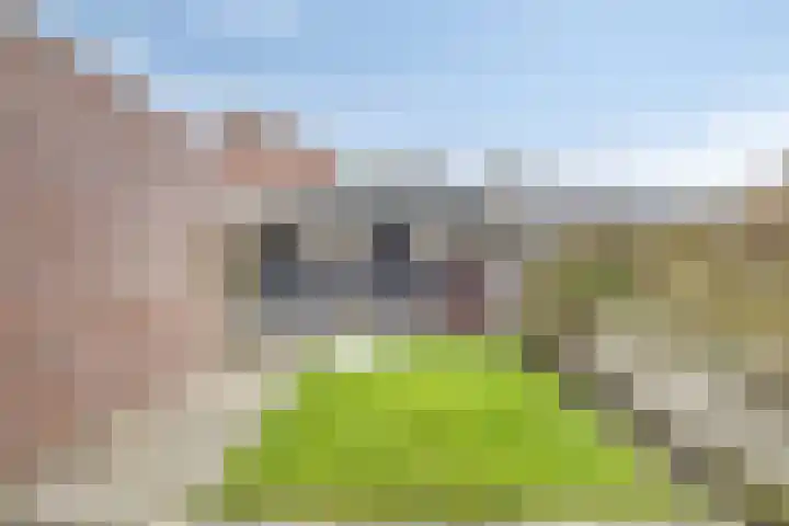 Hoornkampen 16 Rolde thumbnail 33