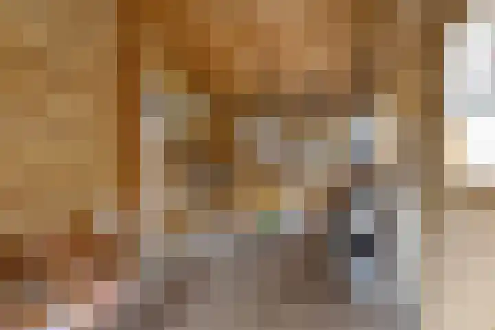 Hoornkampen 16 Rolde thumbnail 34