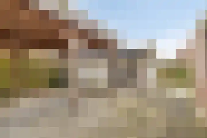 Hoornkampen 16 Rolde thumbnail 36