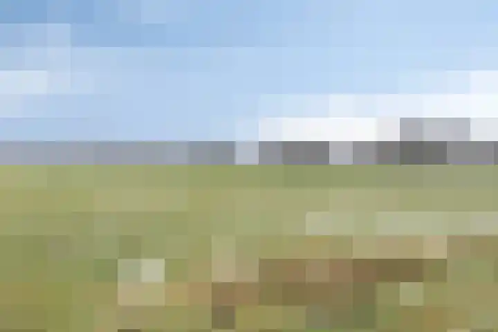 Hoornkampen 16 Rolde thumbnail 38