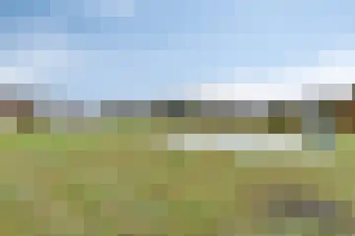 Hoornkampen 16 Rolde thumbnail 39