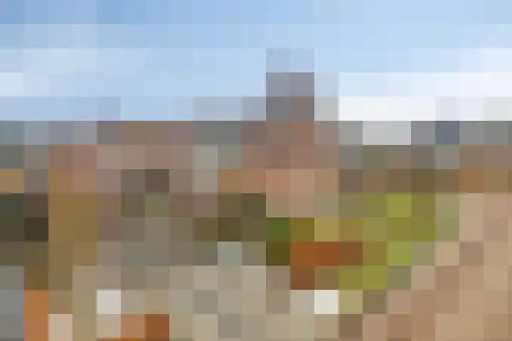 Hoornkampen 16 Rolde thumbnail 4