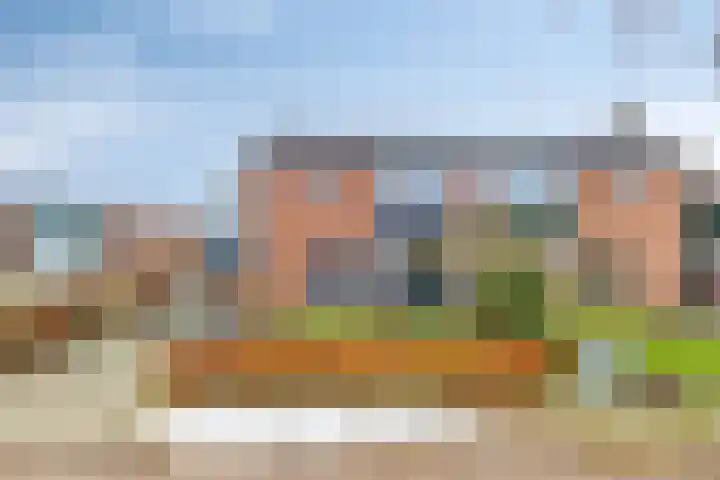 Hoornkampen 16 Rolde thumbnail 6