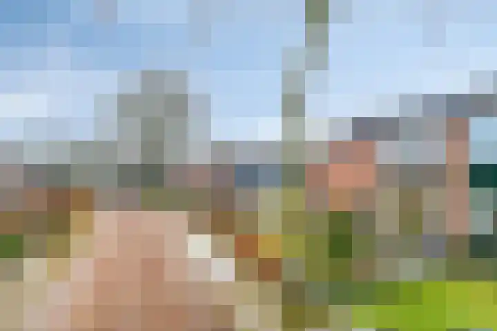 Hoornkampen 16 Rolde thumbnail 7