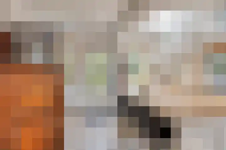 Hoornkampen 19 Rolde thumbnail 12