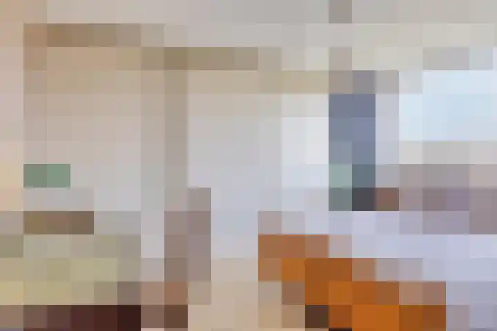 Hoornkampen 19 Rolde thumbnail 16