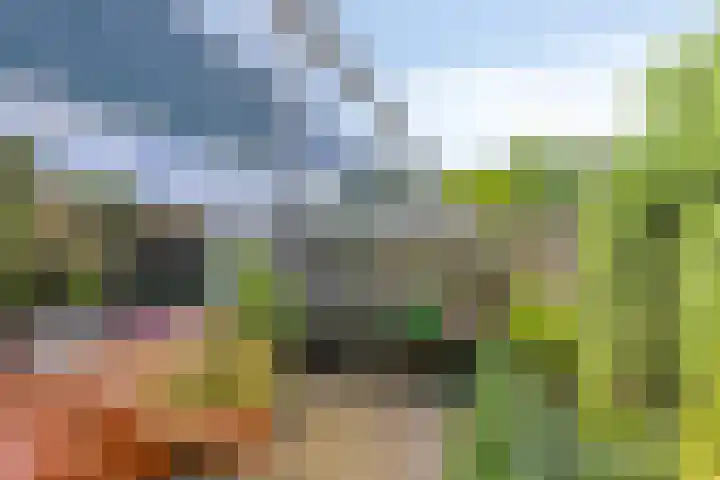 Hoornkampen 19 Rolde thumbnail 26