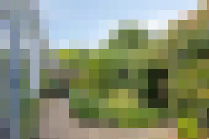Hoornkampen 19 Rolde thumbnail 27