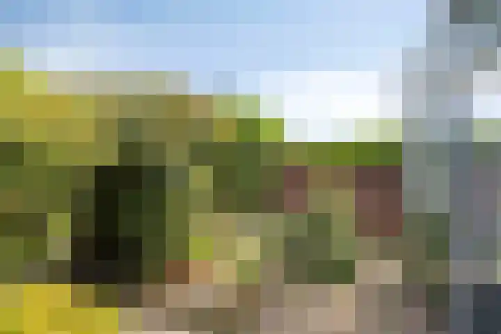 Hoornkampen 19 Rolde thumbnail 28