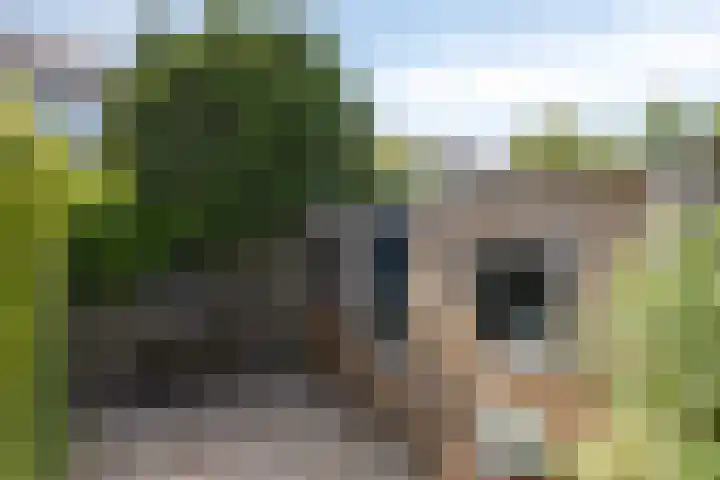 Hoornkampen 19 Rolde thumbnail 30