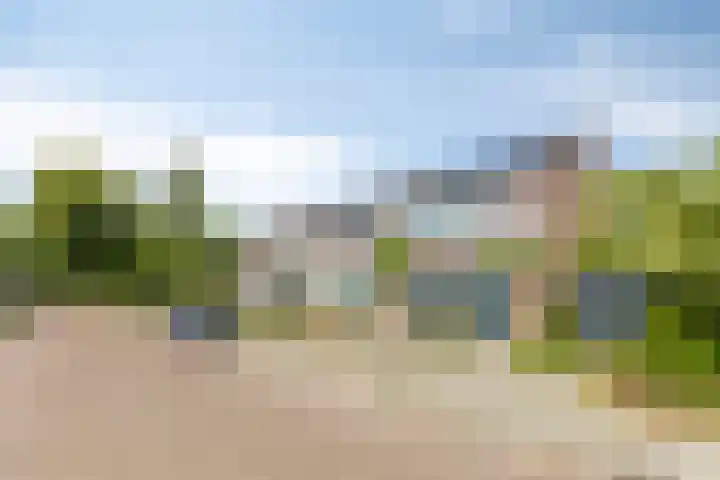 Hoornkampen 19 Rolde thumbnail 32