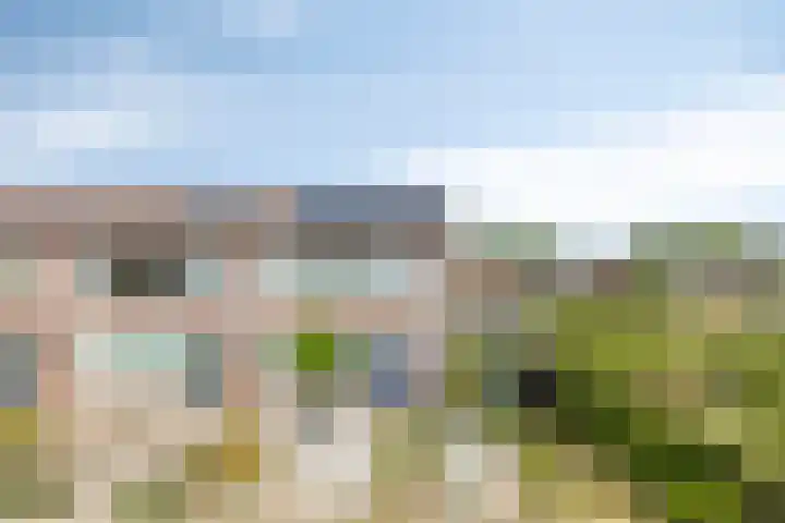 Hoornkampen 19 Rolde thumbnail 33
