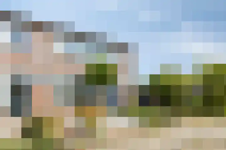 Hoornkampen 19 Rolde thumbnail 35