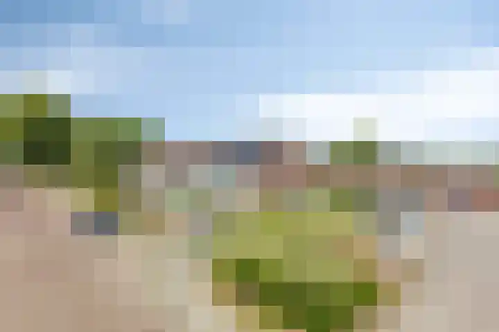 Hoornkampen 19 Rolde thumbnail 36