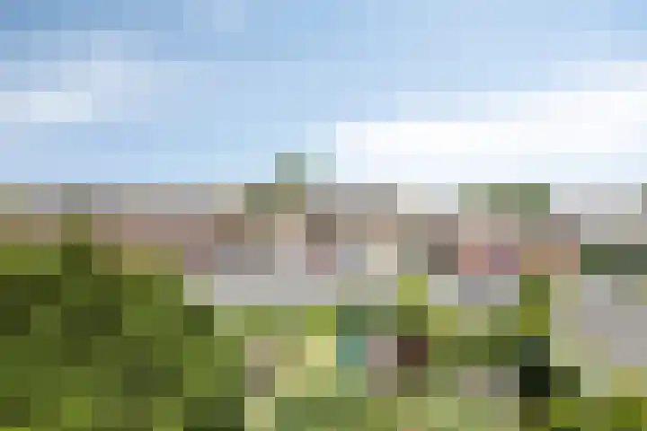 Hoornkampen 19 Rolde thumbnail 37