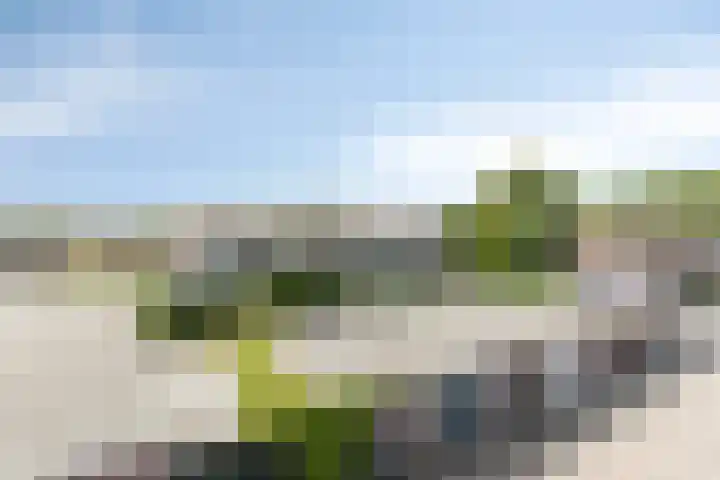 Hoornkampen 19 Rolde thumbnail 39