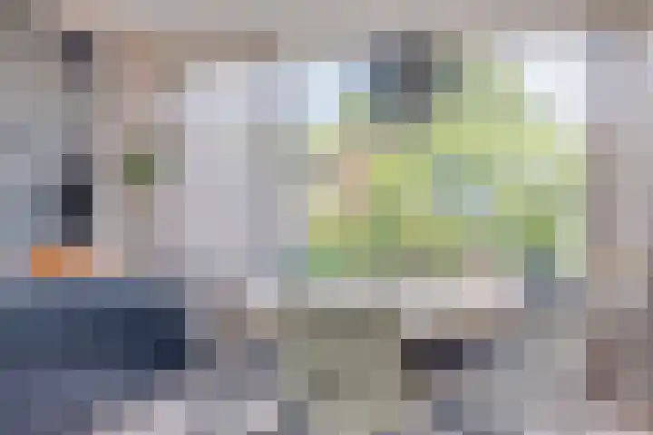 Hoornkampen 19 Rolde thumbnail 8