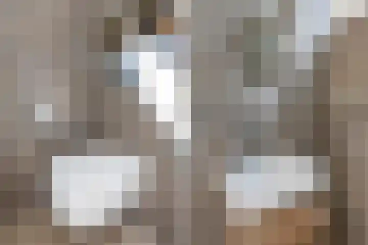 Hoornklaver 1 Rotterdam thumbnail 10