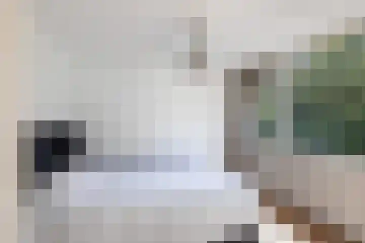 Hoornklaver 1 Rotterdam thumbnail 30