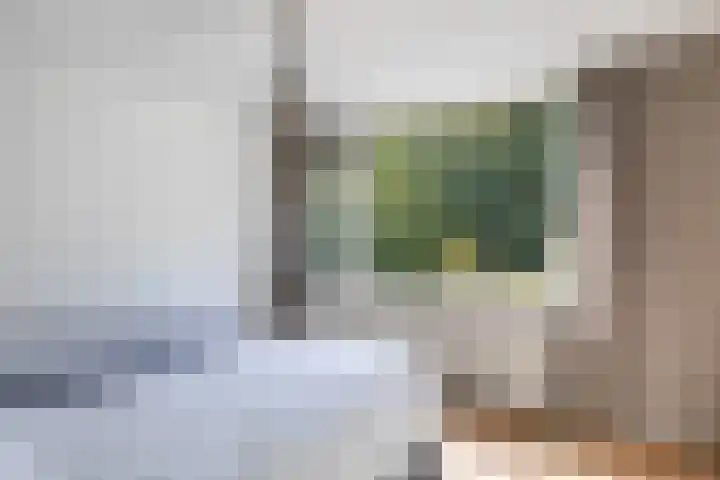 Hoornklaver 1 Rotterdam thumbnail 31