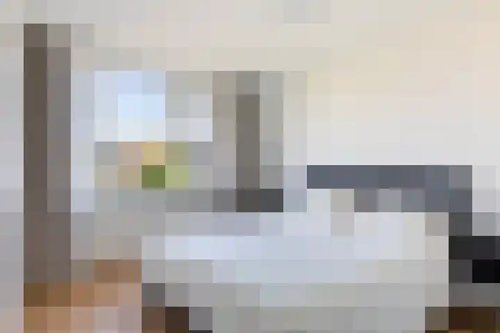 Hoornklaver 1 Rotterdam thumbnail 32