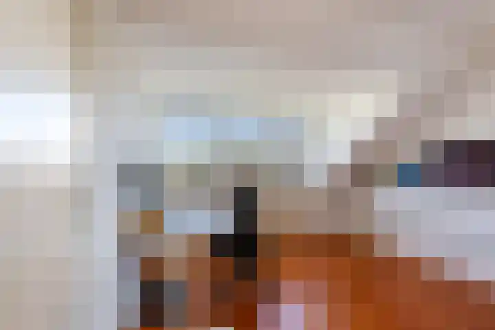 Hoornklaver 1 Rotterdam thumbnail 38