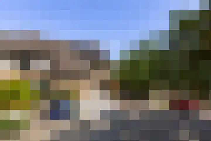 Hoornklaver 1 Rotterdam thumbnail 4